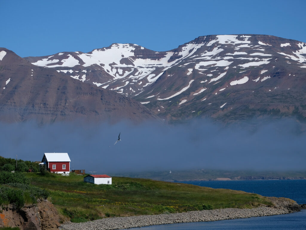 Hrisey View
