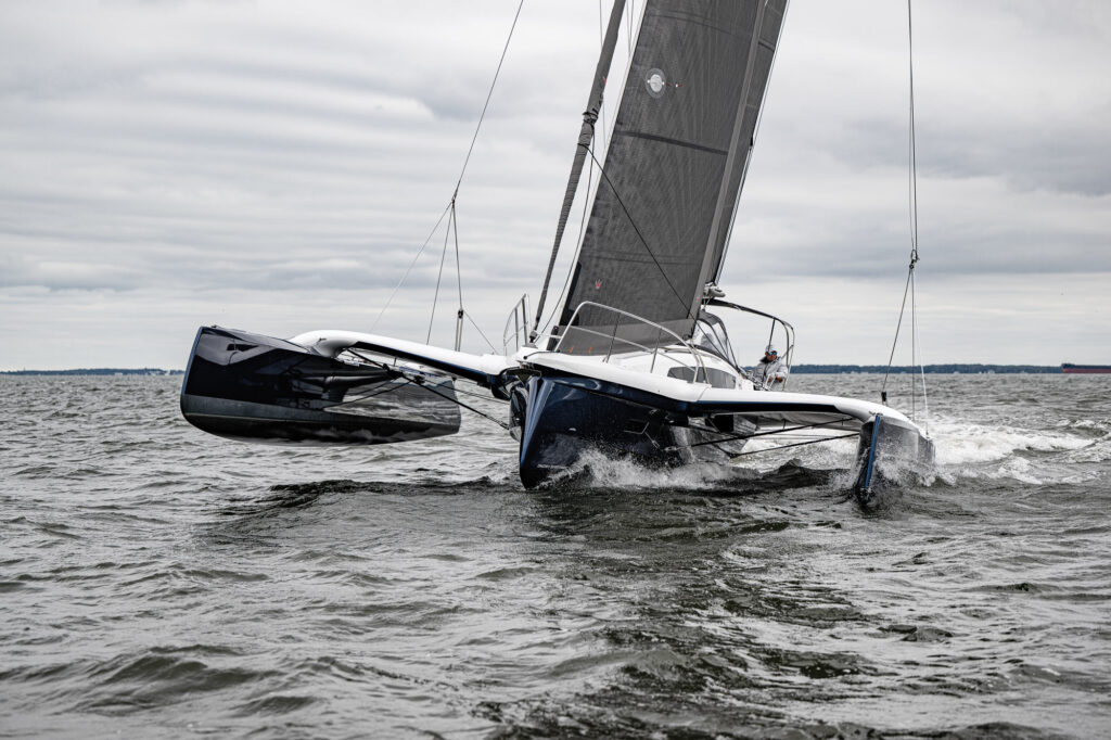 Dragonfly 36