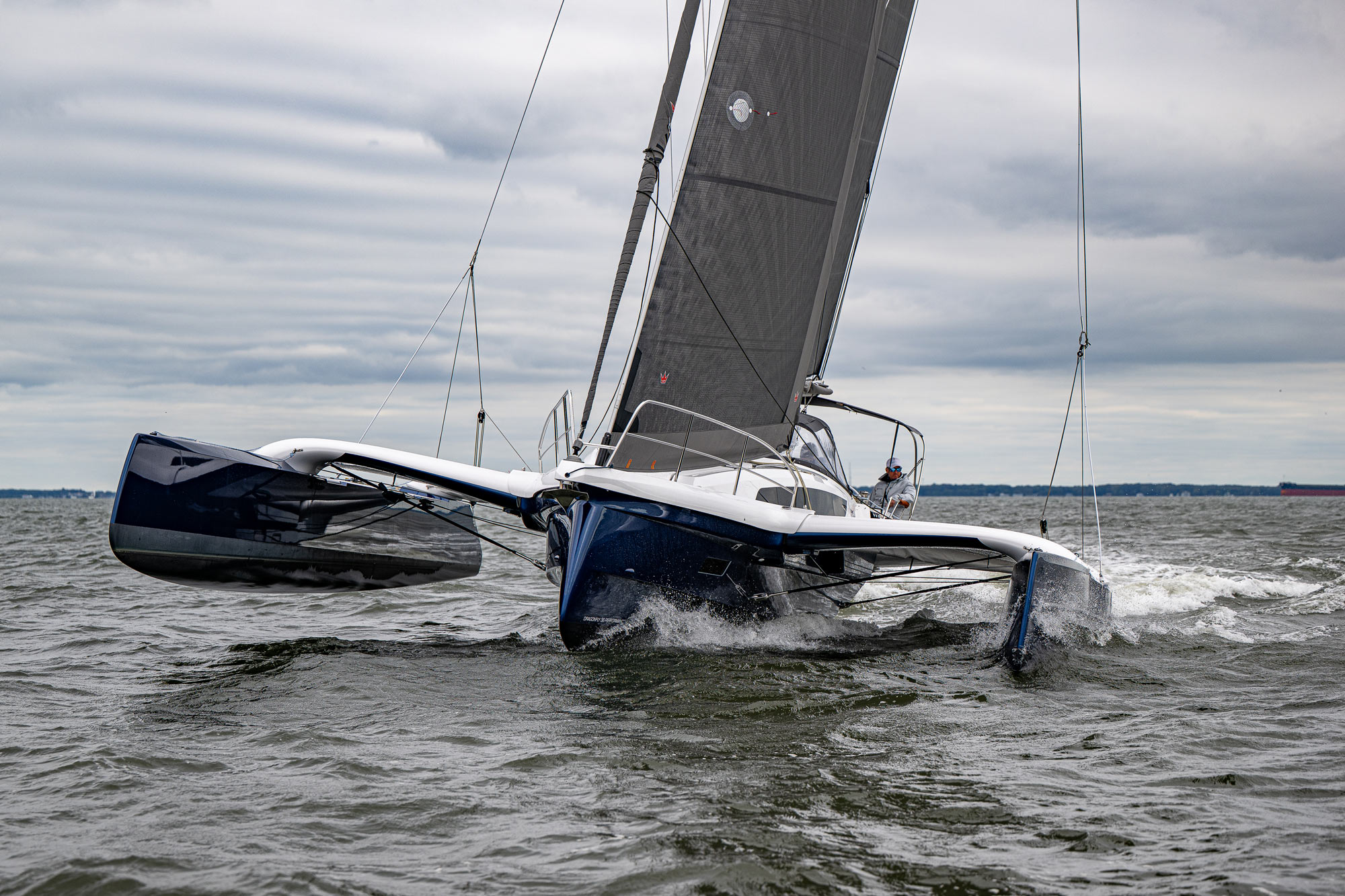 Dragonfly 36