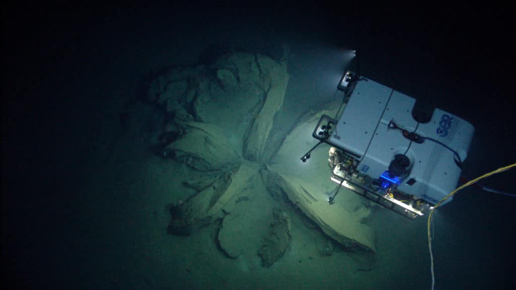 Noaa